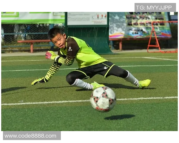 武汉篮球队杯赛表现分析状态评估及未来展望